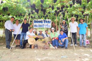Nông trại Hoàng Yến cung cấp dịch vụ trồng nho làm kinh tế