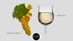 Moscato-Wine-Muscat-Blanc-Grape-nthy