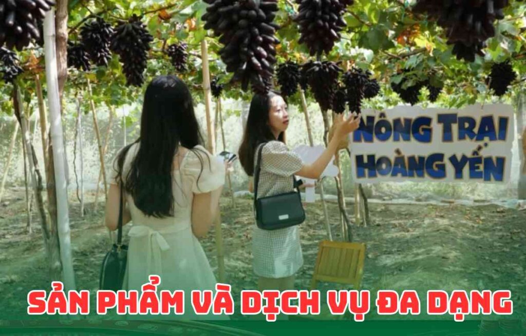 Sản Phẩm và Dịch Vụ Đa Dạng