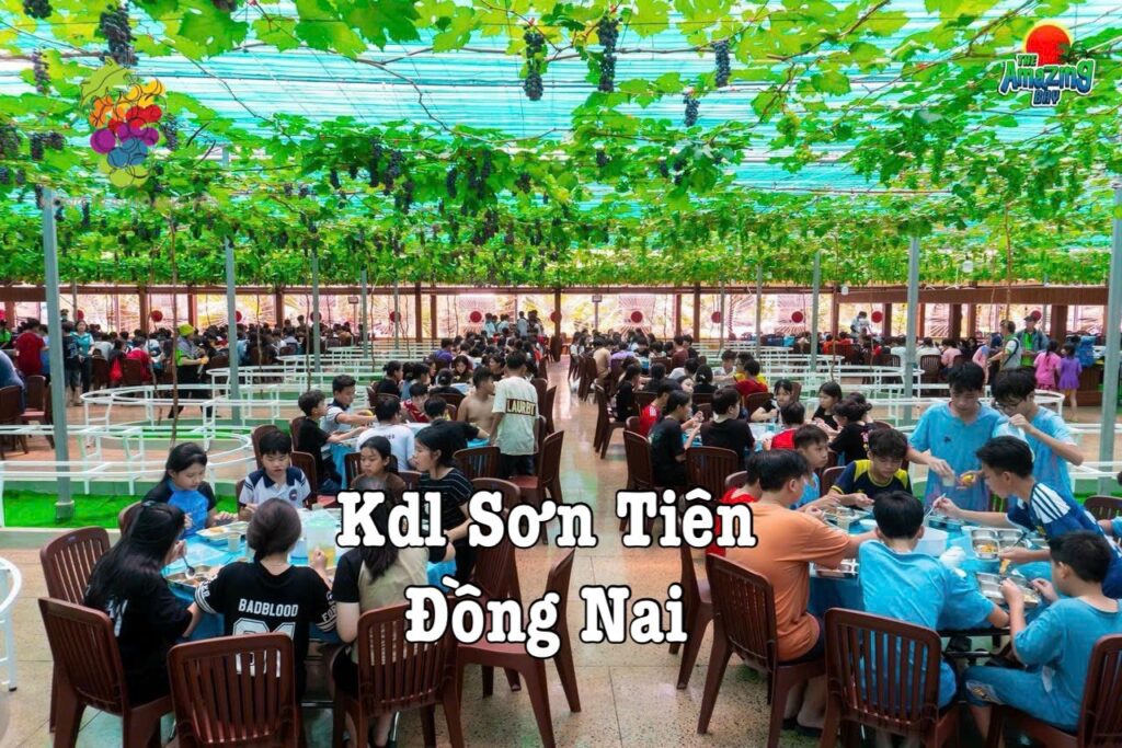 Nông Trại Hoàng Yến – Chuyển Giao Giống Và Kỹ Thuật Trồng Nho Hàng Đầu Cho 63 Tỉnh Thành
