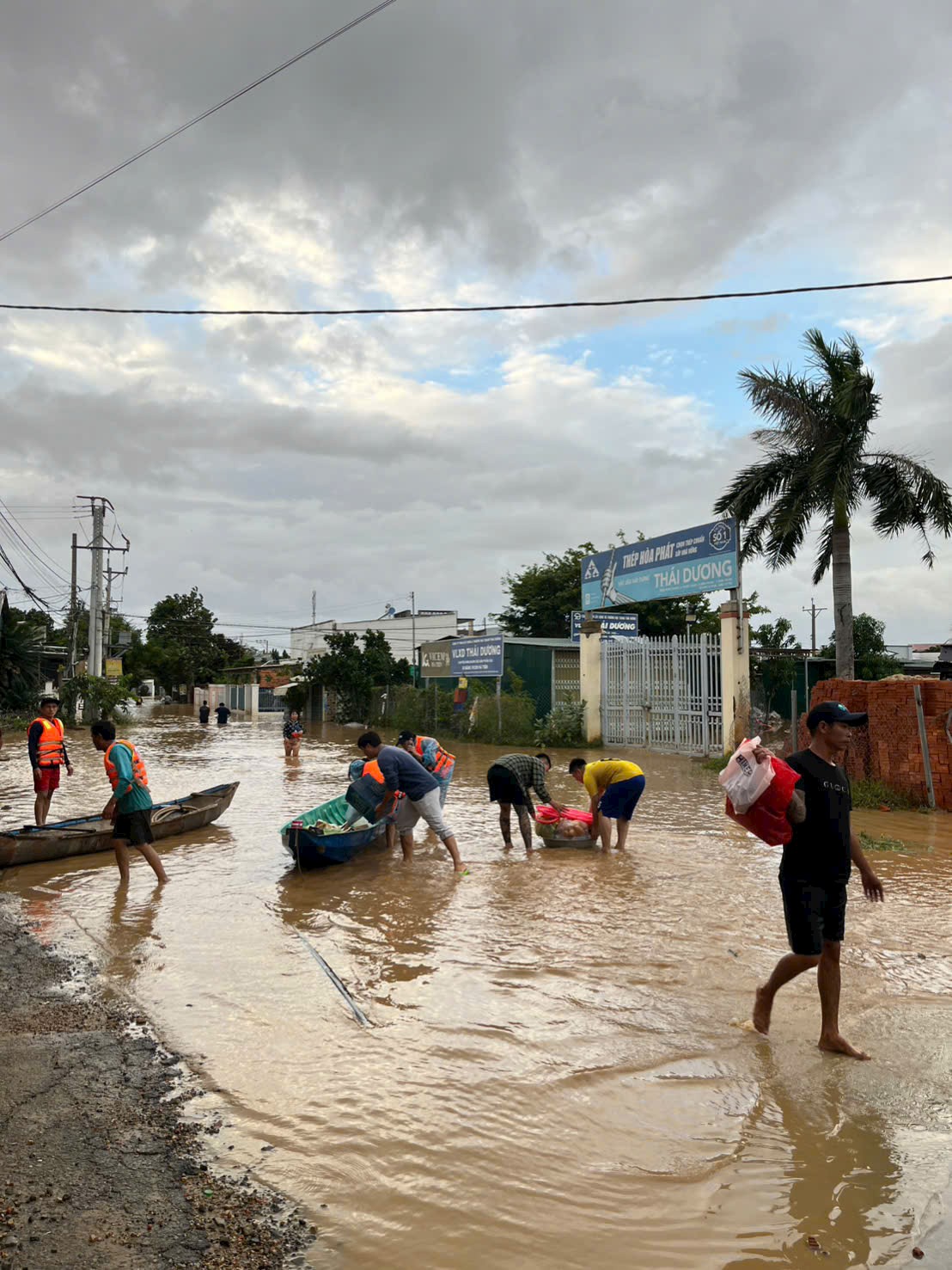 Lũ Lần 2 Lại Lên – Vườn Nho Đang Bước Vào Giai Đoạn Nguy Kịch